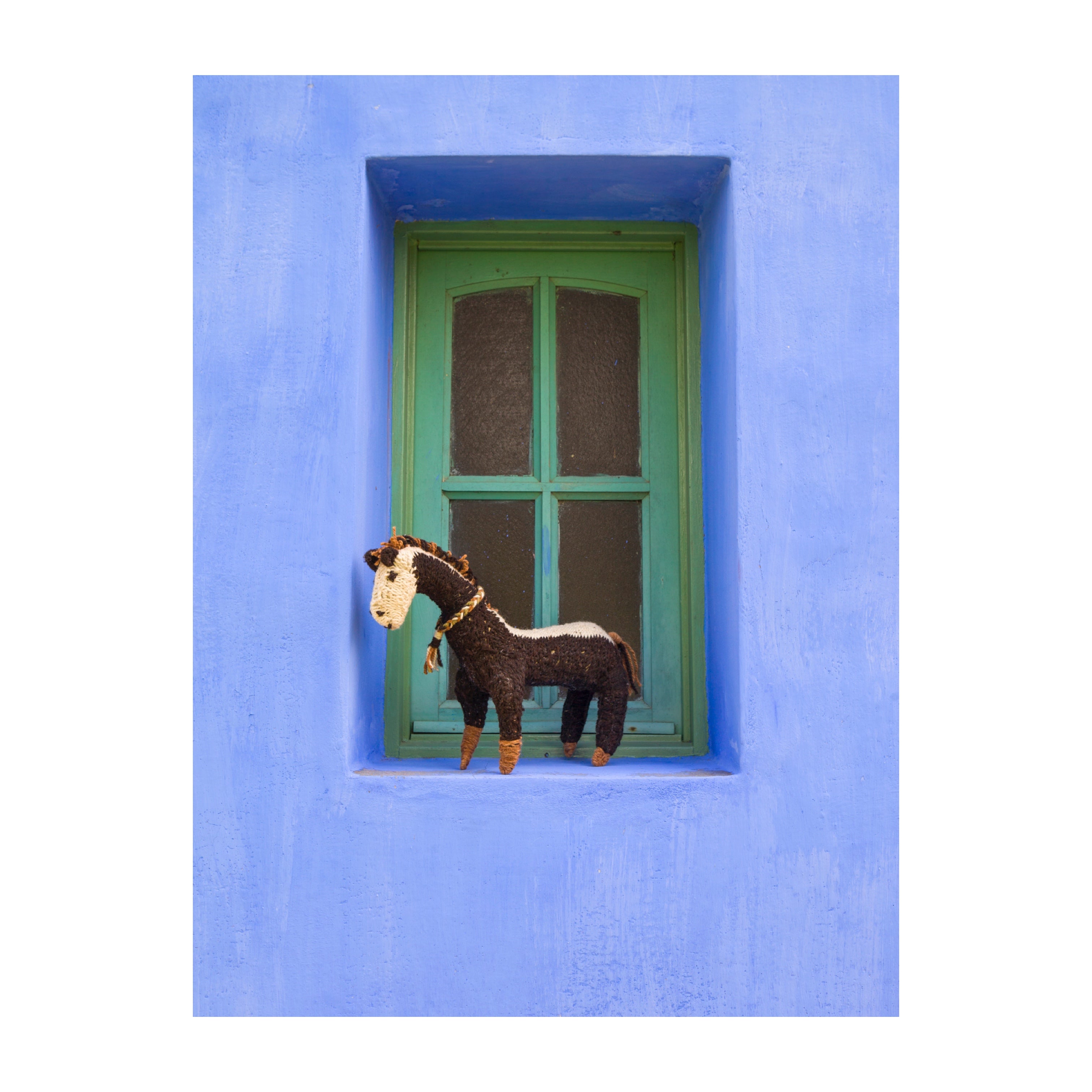 Animalitos del Monte<br>POP UP in Permanent Age