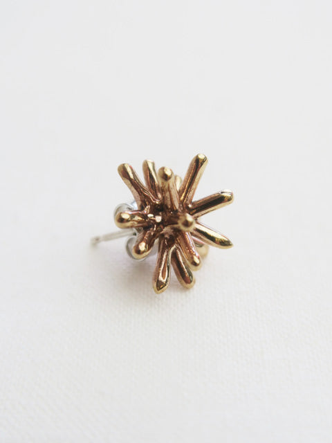 RICCI BRONZE PIERCED