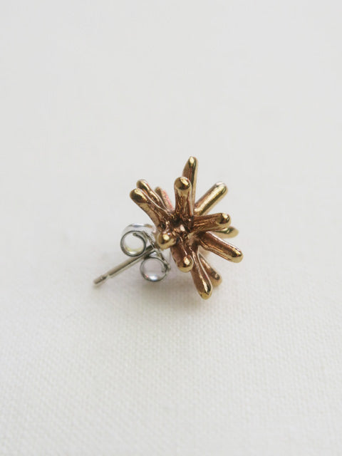 RICCI BRONZE PIERCED