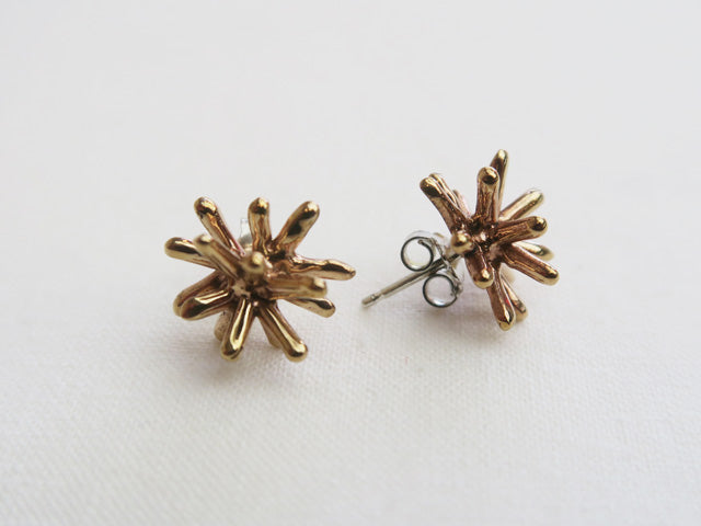 RICCI BRONZE PIERCED